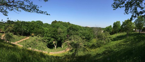 IMG_6968s