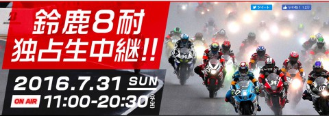 8tai_bs12