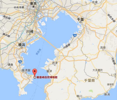 map_kannonzaki